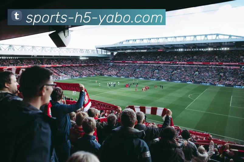 亚博体育APP 体育赛事宣传图